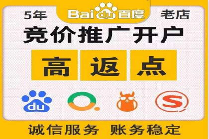 大数据分析在竞价广告中的应用